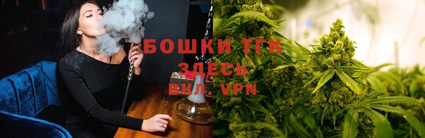 ECSTASY Богородск