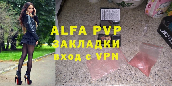 гашик Богданович