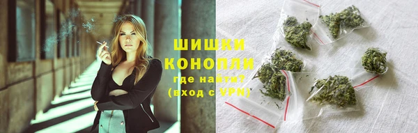 соль ск Богородицк