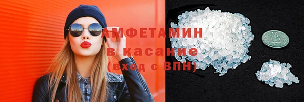 гашик Богданович