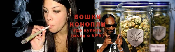 соль ск Богородицк