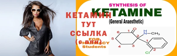 гашик Богданович