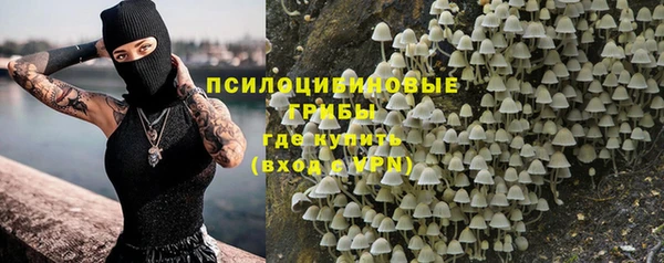 соль ск Богородицк
