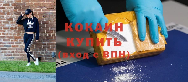 гашик Богданович