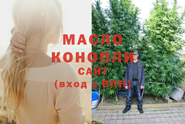 гашик Богданович