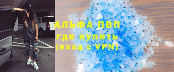 гашик Богданович
