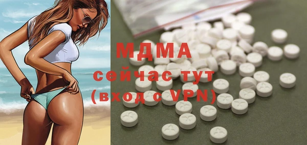 гашик Богданович
