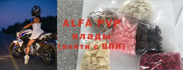 гашик Богданович