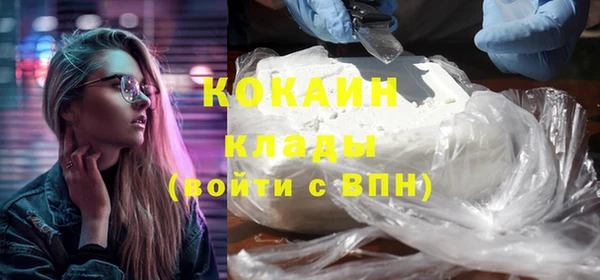 гашик Богданович