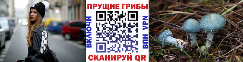 Галлюциногенные грибы мицелий Новороссийск