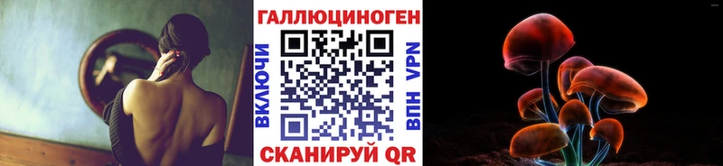 Псилоцибиновые грибы мицелий  МЕГА маркетплейс  Новороссийск 